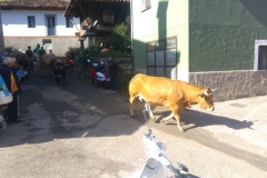 belmonte213