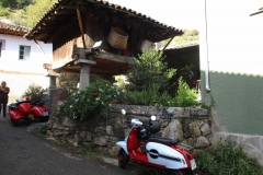 belmonte221