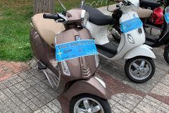 belmonte2019_116
