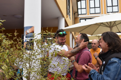 liadas2019_028