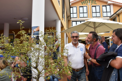 liadas2019_034
