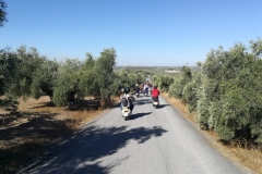 lucena040