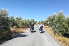 lucena041