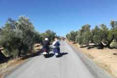 lucena042