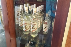 lucena2019_029