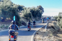 lucena2019_052