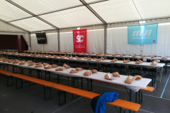murosdenalon2019_013