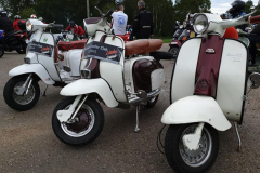 murosdenalon2019_060