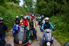 murosdenalon2019_217