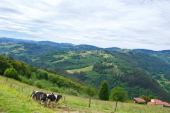 murosdenalon2019_220