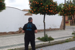 sevilla2019_04
