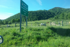 20190601_092724